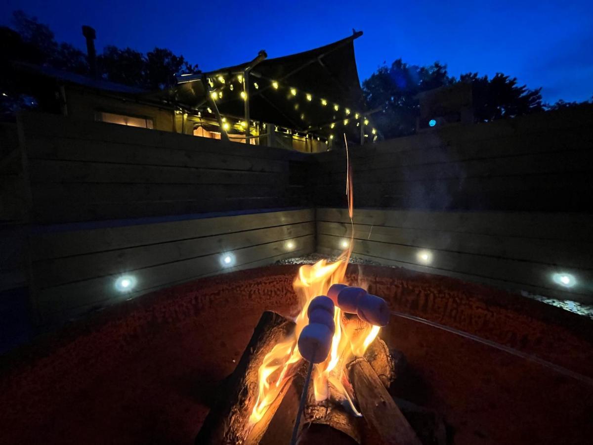 Jungle Book Safari Tent Tenby Luaran gambar