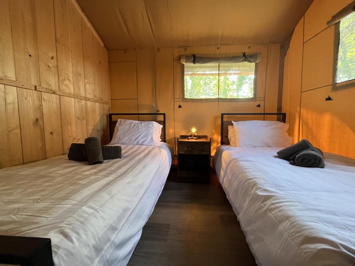 Jungle Book Safari Tent Tenby Luaran gambar